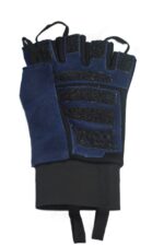 glove